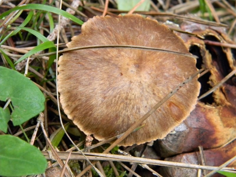 1903 Febbraio vecchio ritrovamento